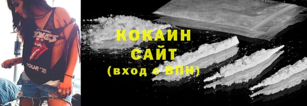 шишки Балахна