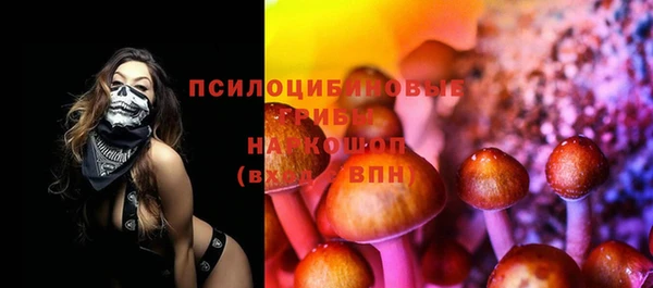 тгк Дедовск