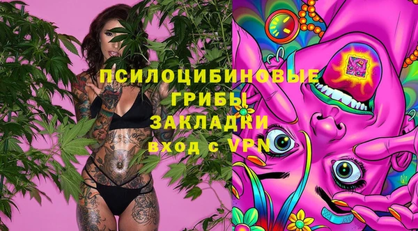 кокс Бородино