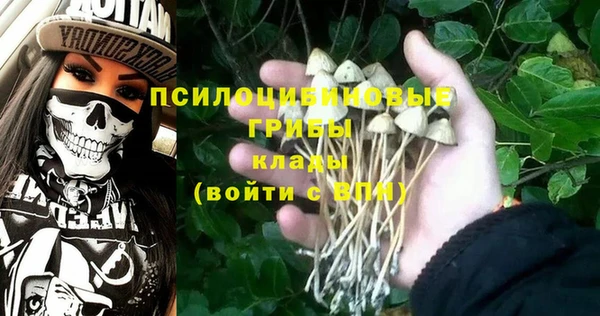 альфа пвп Богородицк
